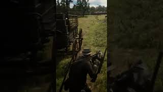 Killing a lot of Lemoyne Raiders RDR2 [upl. by Suillenroc]