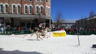 WATCH Ski Joring in Leadville [upl. by Bard]