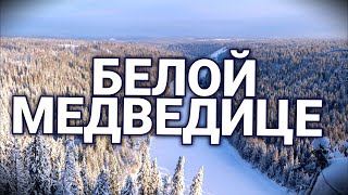 Белой медведице Автор Дмитрий Кравченко Читает Лёня Бархатов 16 лет [upl. by Adnovahs]