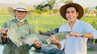 Engorda de Mojarra Tilapia  Sistema abierto  Oxigenación de manera natural  Granjas acuícolas [upl. by Mahgem]