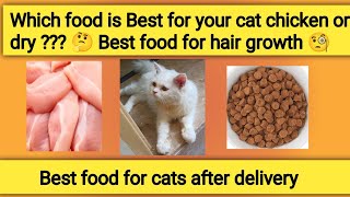 best food for cats  best food for cats after delivery  best food for cat hair growth [upl. by Dove]