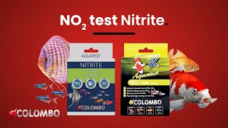 Colombo Pond Nitrite NO2 Test [upl. by Charry]