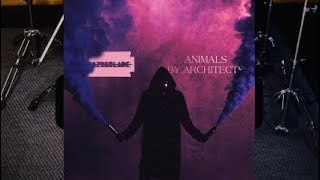 Architects drum cover  Animals [upl. by Kelsy]