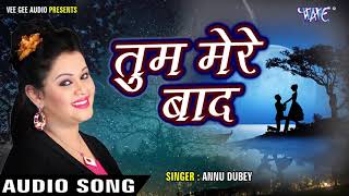 सबसे दर्द भरा गीत 2023  तुम मेरे बाद  Tum Mere Baad  Anu Dubey New Sad Song [upl. by Novyak]