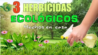 🍀 CONTROL DE MALEZAS 🍀  3 Herbicidas Ecológicos para eliminar las MALAS HIERBAS de tu jardín🌺🌻 [upl. by Kahn]