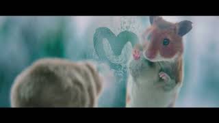 Albert Heĳn – Kerst met hamsters [upl. by Ahsemac]