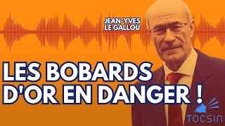 Lextrêmegauche fait pression pour annuler les Bobards dOr  JeanYves Le Gallou [upl. by Gwenn]