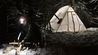 Winter Camping  Fresh Snow in the Evergreens [upl. by Almeda729]