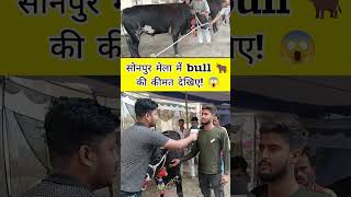 सोनपुर मेला में bulls की कीमत सुनकर हैरान हो जायेंगे 😱  Sonpur Mela 2024 bull viralvideo short [upl. by Llerrej]