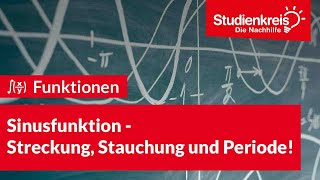 Sinusfunktion  Streckung Stauchung und Periode  Mathe verstehen mit dem Studienkreis [upl. by Lleirbag467]