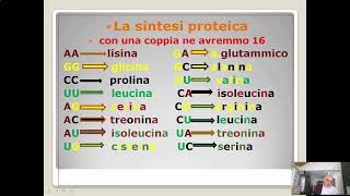 Itinerario di biologia la sintesi proteica1 [upl. by Rahab]