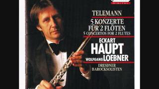 G Ph Telemann  Concerto in D major for 2 Flutes Colascione Strings amp Bc [upl. by Norahs]