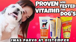 VIRBAC NUTRIGEL PLUS NUTRIBLEND GEL TROY NUTRIGEL VITAMIN FOR DOGS shihtzu dog [upl. by Anifled959]