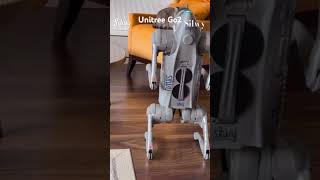 Robot Dog part 2 [upl. by Hollister]