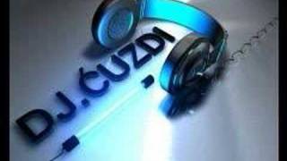 Dj Cuzdi vs Lepa Brena  Luda za Tobom Remix wwwdjcuzdiattt [upl. by Azmah]