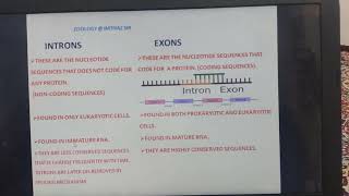 CONCEPT OF INTRON amp EXON [upl. by Ilyak379]