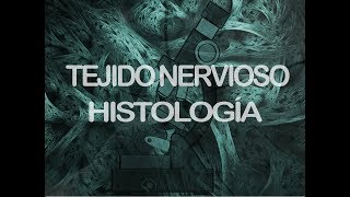 Tejido nervioso  Histología [upl. by Farlee]