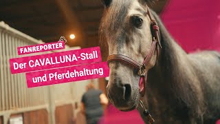 Der CAVALLUNA Stall amp Pferdehaltung I CAVALLUNAFanreporter [upl. by Hollerman]