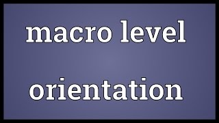 Macro level orientation Meaning [upl. by Nich]