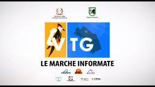 LE MARCHE INFORMATE  MAGGIO 2020 [upl. by Cerell]