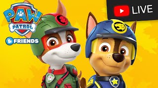 Pups save Daring Danny and fix the Lighthouse  PAW Patrol Episode  Cartoons for Kids Compilation [upl. by Gonta]