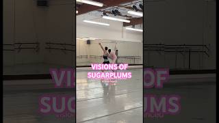 VISIONS OF SUGARPLUMS holidaysnutcrackerrehearsalpartnersugarplumchristmasballerinatutu [upl. by Zetrac]