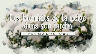 Les bienfaits de la neige dans mon jardin permaculture [upl. by Pride]