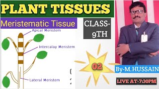 🔴🔴PLANT TISSUES🔴🔴MERISTEMATIC TISSUE🔴🔴CLASS9TH🔴LEC02🔴 [upl. by Hameerak446]