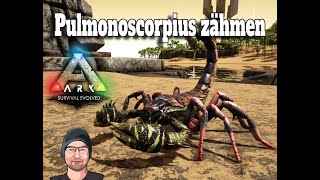 Ark Pulmonoscorpius zähmen German Tutorial [upl. by Nic]