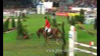 Il salto ostacoli e il dressage [upl. by Montford]