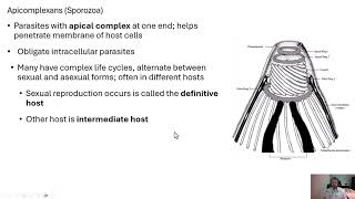 Microbiology Protozoans [upl. by Dranyar]