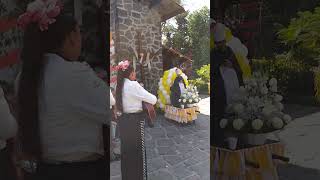 Copilco el Alto parroquia de San Alberto Magno fiesta patronal serenata con mariachi 🎺💒 [upl. by Eimarej]