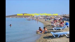 Avşa Adası Yiğitler Oya Apart [upl. by Aemat965]