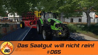 LS19  Gemeinde Rade 065  Das Saatgut will nicht rein  FS19  Lets Play HD [upl. by Luzader937]