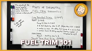 Fuel Trim 101  How to check the fuel trim on a Porsche using PIWIS or Durametric [upl. by Nilson]