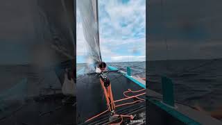 Catamaran racing practice sailing catamaran sailboat f18 sailingcatamaran nacra insta360 [upl. by Gherardi]