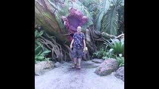 DisVlog shorts  Bothering the Flaska Reclinata in Pandora [upl. by Asteria]