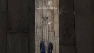 OUTSTANDING TILE AND GROUT RESTORATION TURNAROUND BRAND NEW RESULTS PRE amp POST VIDEOtilesdiyshors [upl. by Airbmat]