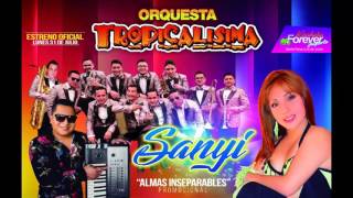 Almas Inseparables Sanyi feat Orquesta Tropicalisima [upl. by Atimed]