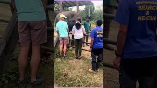 WHAT WE SEE AT JUNGLE SAFARI jungle safari [upl. by Anairad470]