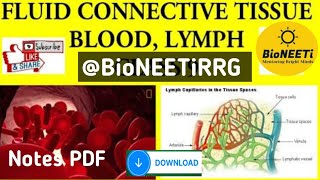 Fluid Connective Tissue Blood And Lymph Structural Organisation In Animals NEET NCERT [upl. by Issor891]