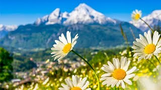 Switzerland AMAZING Beautiful Nature with Soothing Relaxing Music 4k Ultra HD by Tim Janis [upl. by Mccreary210]