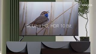 Ультимативное погружение Телевизоры QLED Rombica Smart TV QL50  QL55  QL65 [upl. by Singer]