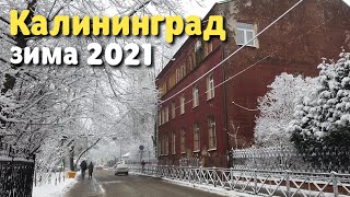 Зима в Калининграде  29 января 2021 [upl. by Faux]