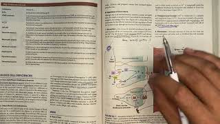 Anemia pharmacology  katzung chap 33 part 12 [upl. by Atteynod]