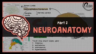 Tractus Ascendens amp Descendens  2 NEUROANATOMY [upl. by Arutek]