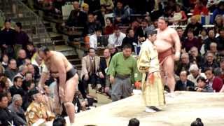 Osunaarashi 42  Yoshikaze 33  Sumo  Hatsubasho 14 [upl. by Tuinenga]