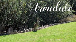 VLOG Australia UNE Armidale [upl. by Mokas]