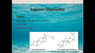 3rd year Pharmacognosy Saponin glycosides [upl. by Abebi]