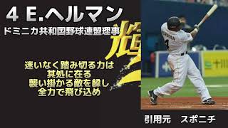 2015年 オリックスバファローズ 19 あの選手は今 [upl. by Nerol]